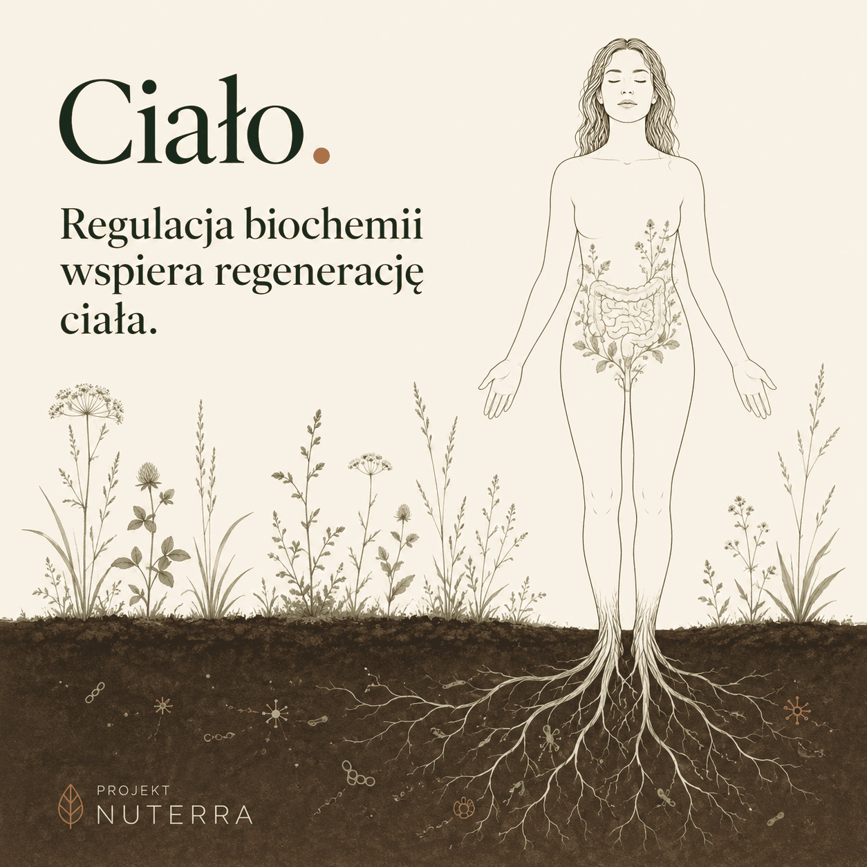 Ciało